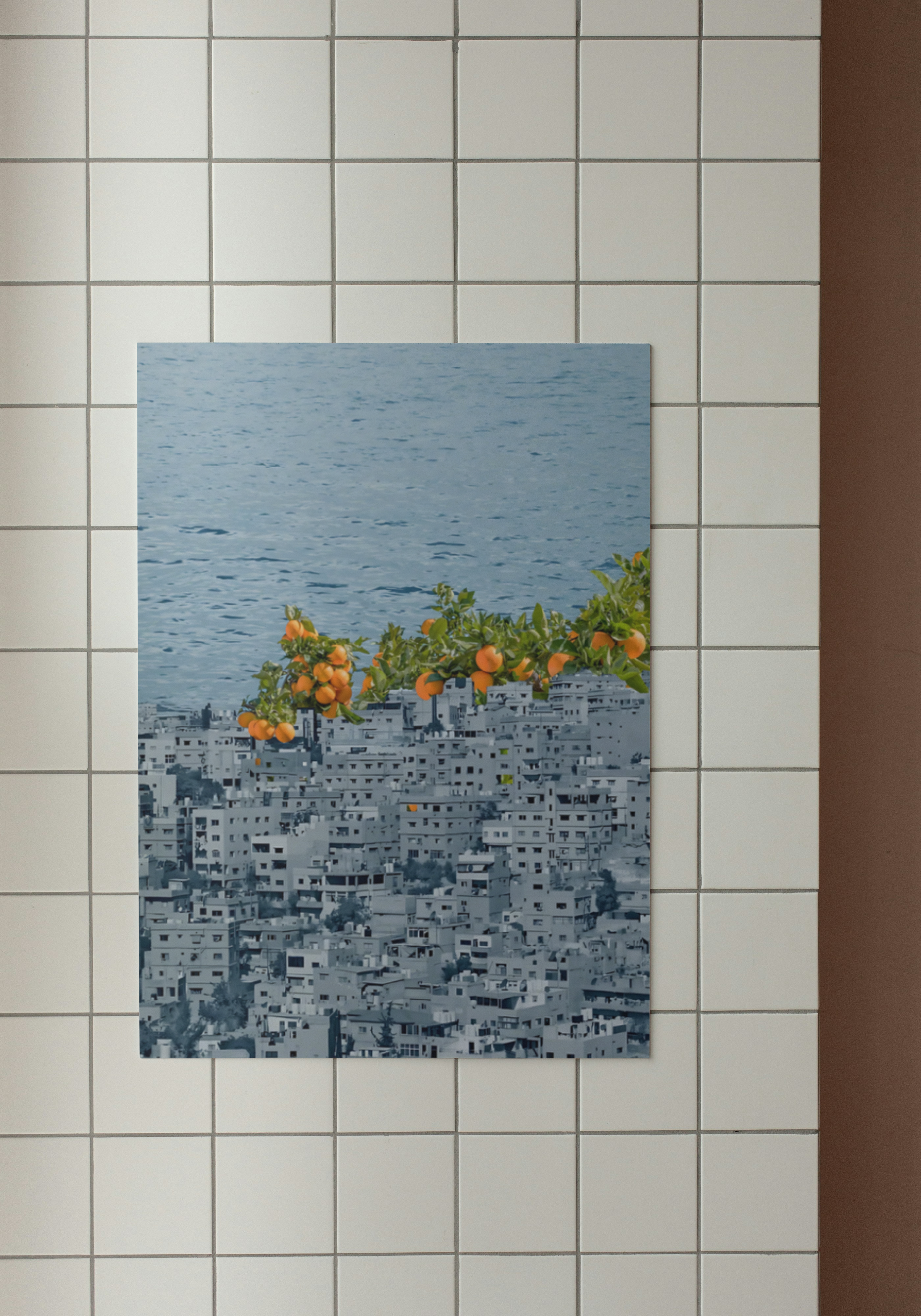 Bittersweet Bloom – Arabic Urban Nature Poster