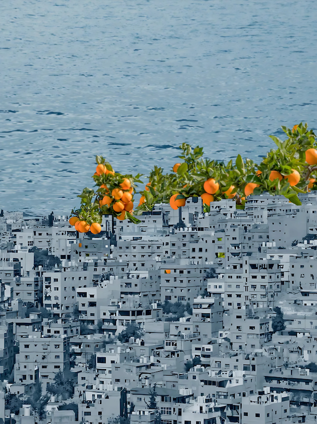 Bright orange tree branches over monochrome Arab city by the sea