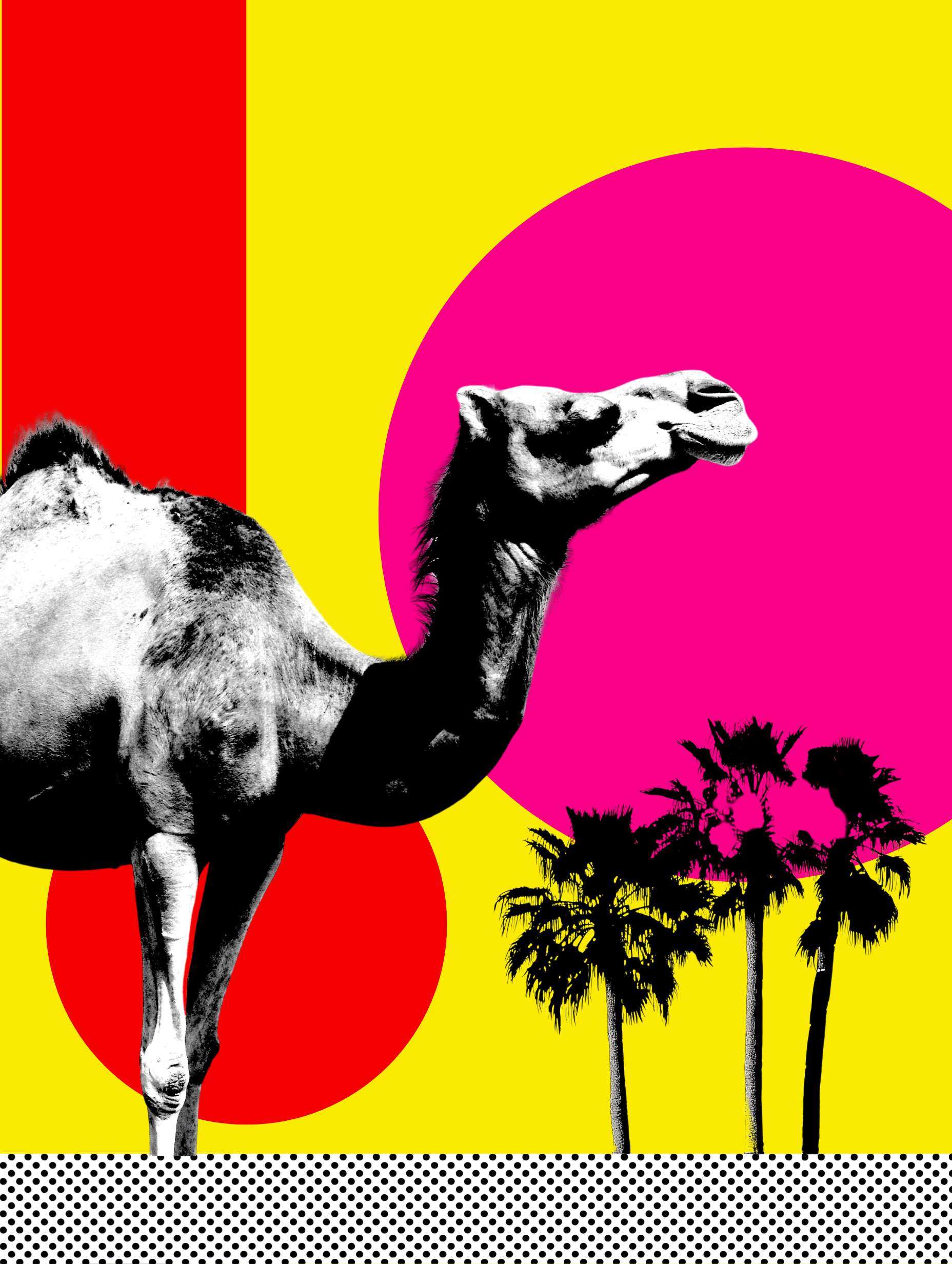 Surreal Arab pop art print of a black and white camel in colorful landscape